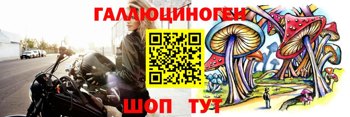 Галлюциногенные грибы Psilocybine cubensis  Псилоцибиновые грибы Psilocybine cubensis  Белая Калитва  Вход с VPN 